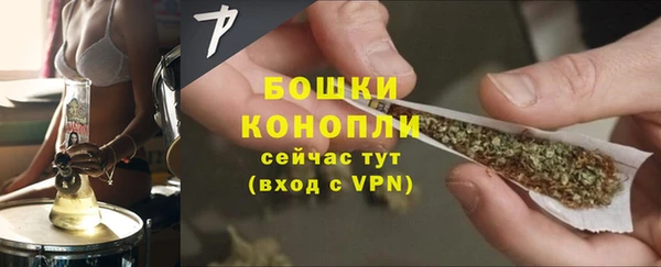 гидра Богородицк