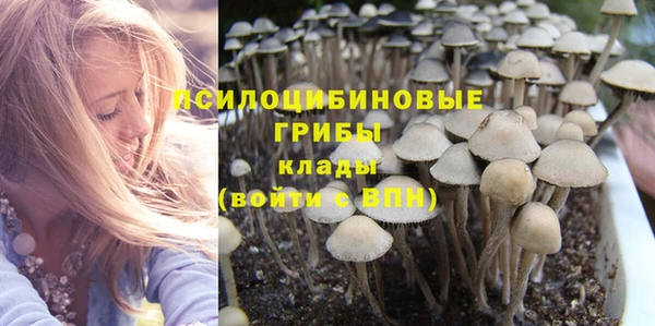 гидра Богородицк
