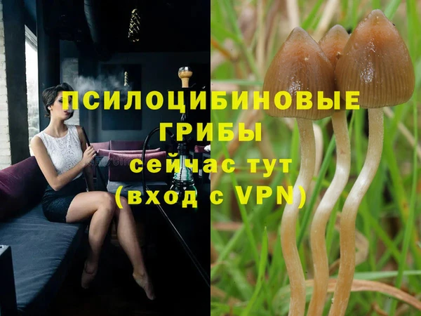 мдпв Богданович